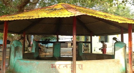 Bharat Koop