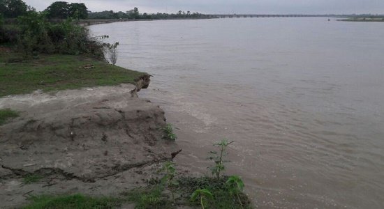 Saryu Dhara
